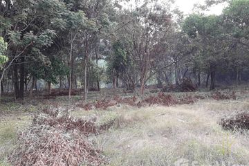 Land for sale in Wang Krachae, Trat