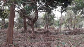 Land for sale in Wang Krachae, Trat