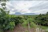 Land for sale in Chiang Dao, Chiang Mai