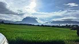 Land for sale in Chiang Dao, Chiang Mai