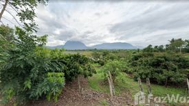 Land for sale in Chiang Dao, Chiang Mai