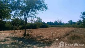 Land for sale in Makhuea Chae, Lamphun