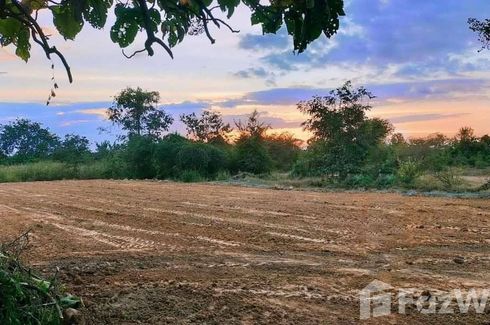 Land for sale in Makhuea Chae, Lamphun