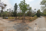 Land for sale in Nong Ri, Chonburi