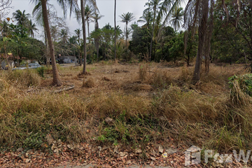 Land for sale in Nong Ri, Chonburi