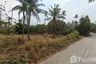 Land for sale in Nong Ri, Chonburi