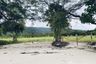 Land for sale in Mai Rut, Trat