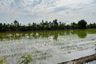 Land for sale in Khlong Udom Chonlachon, Chachoengsao