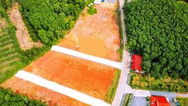 Land for sale in Ban Song, Surat Thani