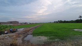 Land for sale in Lam Pho, Nonthaburi