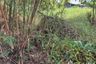 Land for sale in Sai Noi, Nonthaburi