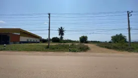 Land for sale in Ban Klang, Phetchabun