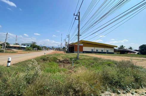 Land for sale in Ban Klang, Phetchabun