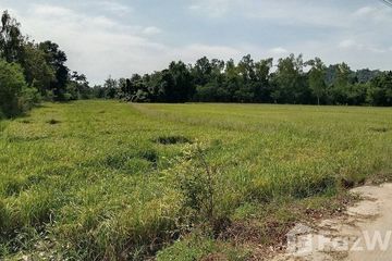 Land for sale in Ban Daen, Nakhon Sawan