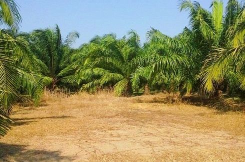 Land for sale in Bueng Ba, Pathum Thani