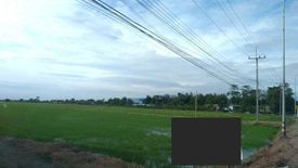 Land for sale in Don Chimphli, Chachoengsao