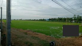 Land for sale in Don Chimphli, Chachoengsao