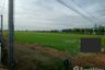 Land for sale in Don Chimphli, Chachoengsao