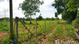 Land for sale in Klaeng, Rayong