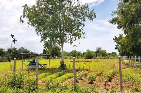 Land for sale in Klaeng, Rayong