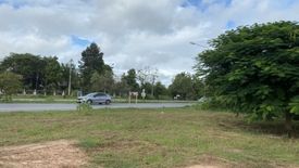 Land for sale in Phlai Chumphon, Phitsanulok