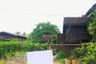 Land for sale in Rim Kok, Chiang Rai