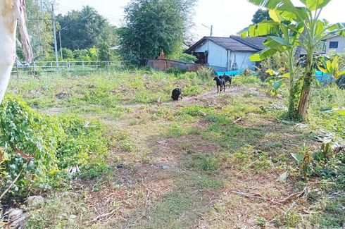 Land for sale in Bang Prok, Pathum Thani