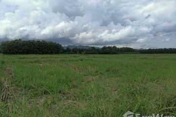 Land for sale in Huai Mai, Phrae