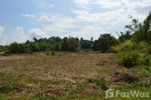 Land for sale in Tha Khao Plueak, Chiang Rai