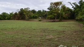 Land for sale in Tha Khao Plueak, Chiang Rai