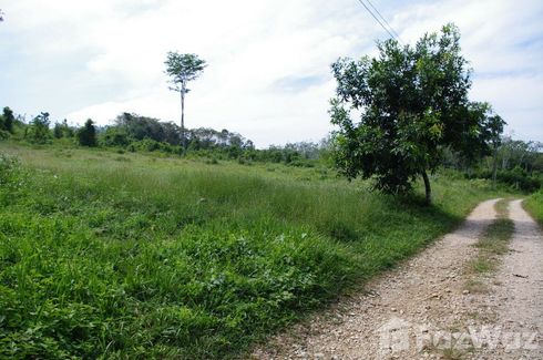 Land for sale in Bang Muang, Phang Nga