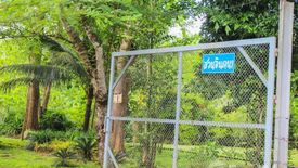 Land for sale in Khilek, Chiang Mai