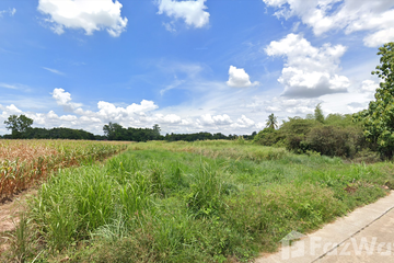 Land for sale in Bueng Phra, Phitsanulok