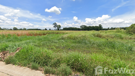 Land for sale in Bueng Phra, Phitsanulok