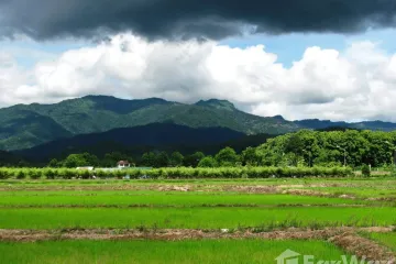 Land for sale in Pong Phrae, Chiang Rai