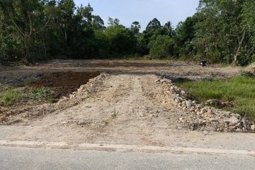 Land for sale in Makrut, Pattani