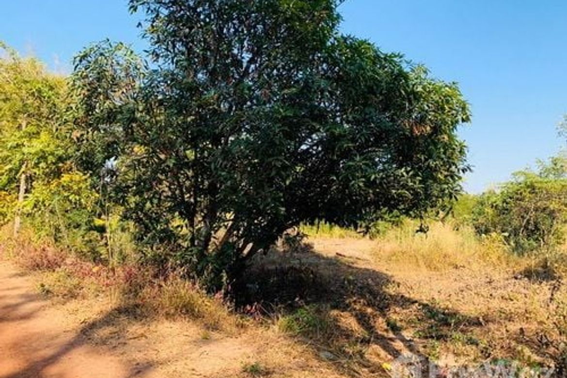 Land for sale in Ban Thon, Sakon Nakhon 📌 Land for sale in Sakon Nakhon