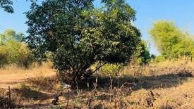 Land for sale in Ban Thon, Sakon Nakhon