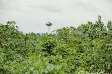 Land for sale in Oraphim, Nakhon Ratchasima