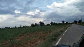 Land for sale in Nong Sarai, Nakhon Ratchasima