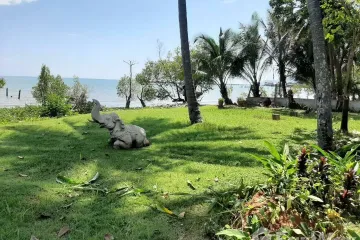 Land for sale in Ko Chang, Trat