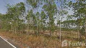 Land for sale in Wang Takhian, Prachin Buri