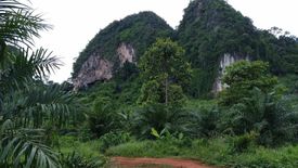 Land for sale in Khao Thong, Krabi