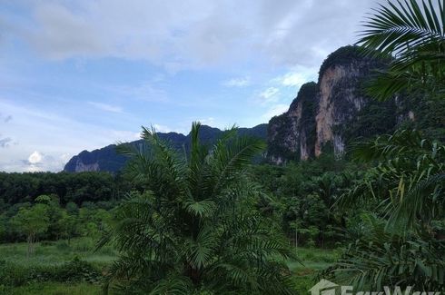 Land for sale in Khao Thong, Krabi