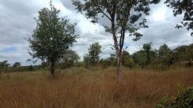 Land for sale in Pho Chai, Nong Khai