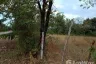 Land for sale in Pho Chai, Nong Khai