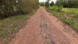 Land for sale in Ban Pet, Khon Kaen