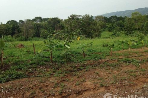 Land for sale in Khaem Son, Phetchabun