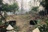 Land for sale in Pha Bong, Mae Hong Son