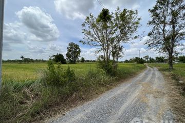 Land for sale in Si Mum, Nakhon Ratchasima